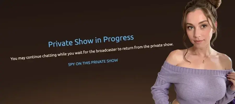 ¿Hasta qué punto es realmente «privado» un show por cámara? Explicación de los modos VIP y exclusivos