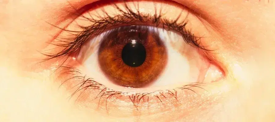 ¿Hasta qué punto son realmente discretas las páginas de cámaras?