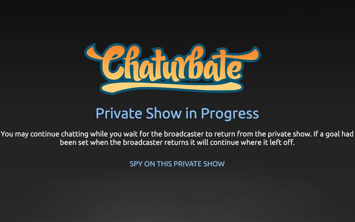 How 'Private' is A Cam Show Really? VIP & Exclusive Modes Explained